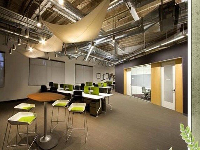 姑苏区黑布林蔬菜批发大概要多少钱